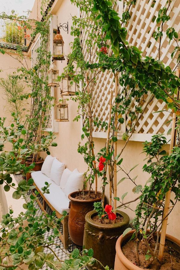Riad Maison 24 Marraquexe