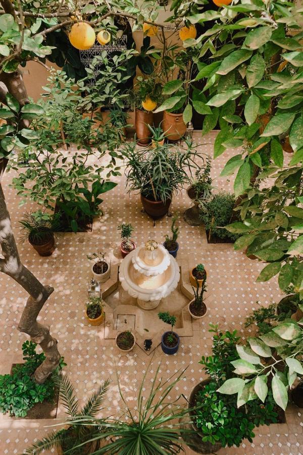 Riad Maison 24 Marraquexe